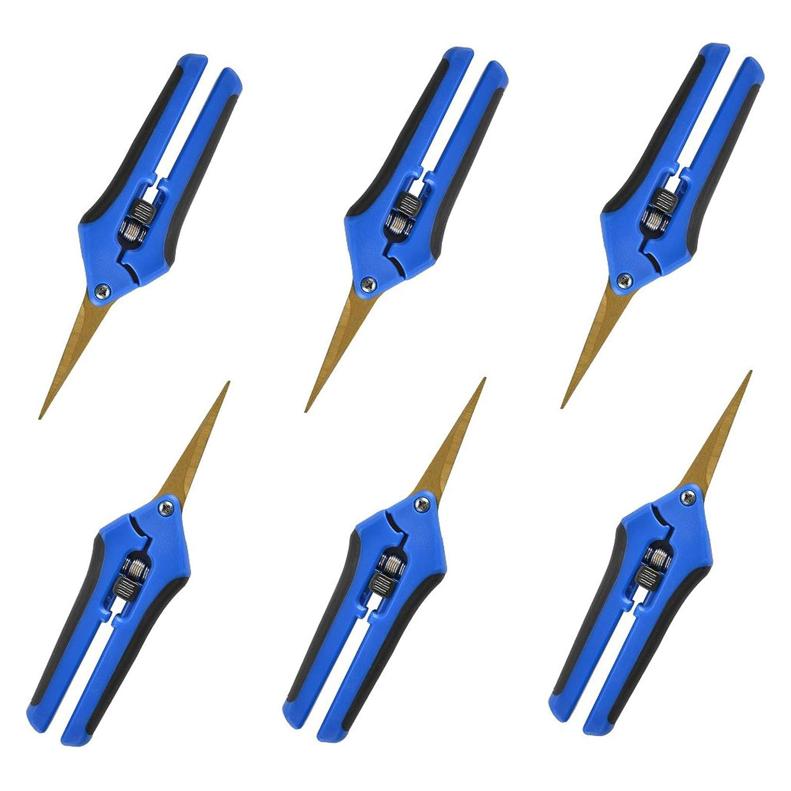 Pruning Shears