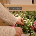Growneer Hydroeasy 1.0