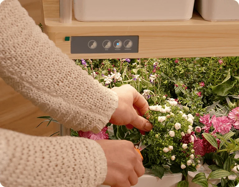 Growneer Hydroeasy 1.0 Growneer Hydroeasy 1.0