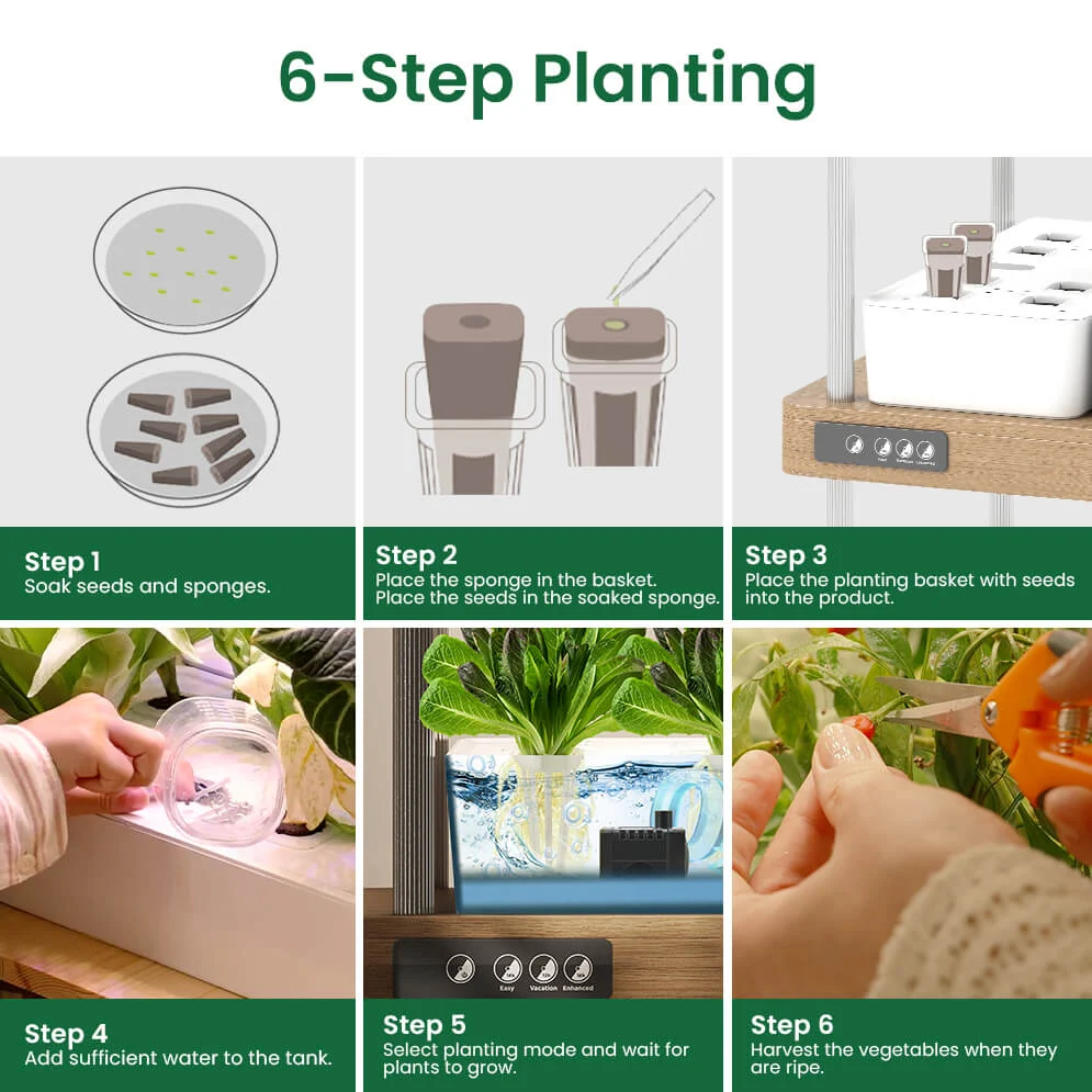 Growneer Hydroeasy planting Growneer Hydroeasy planting