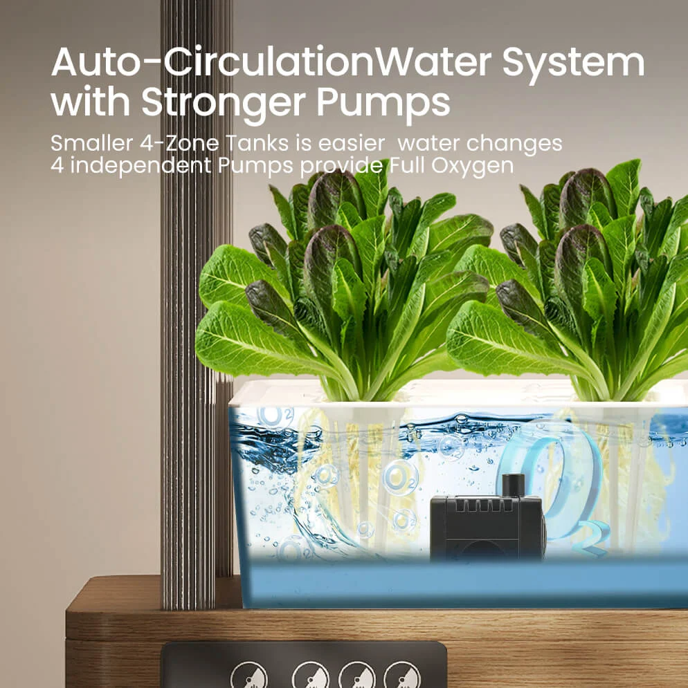 Growneer Hydroeasy lettuce tomato Growneer Hydroeasy lettuce tomato