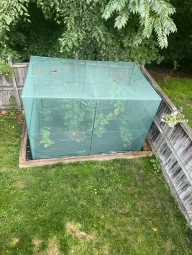 GROWNEER Crop Cage 4' x 8' with 6 Ground Staples photo review