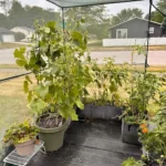 GROWNEER Crop Cage 4' x 8' with 6 Ground Staples photo review